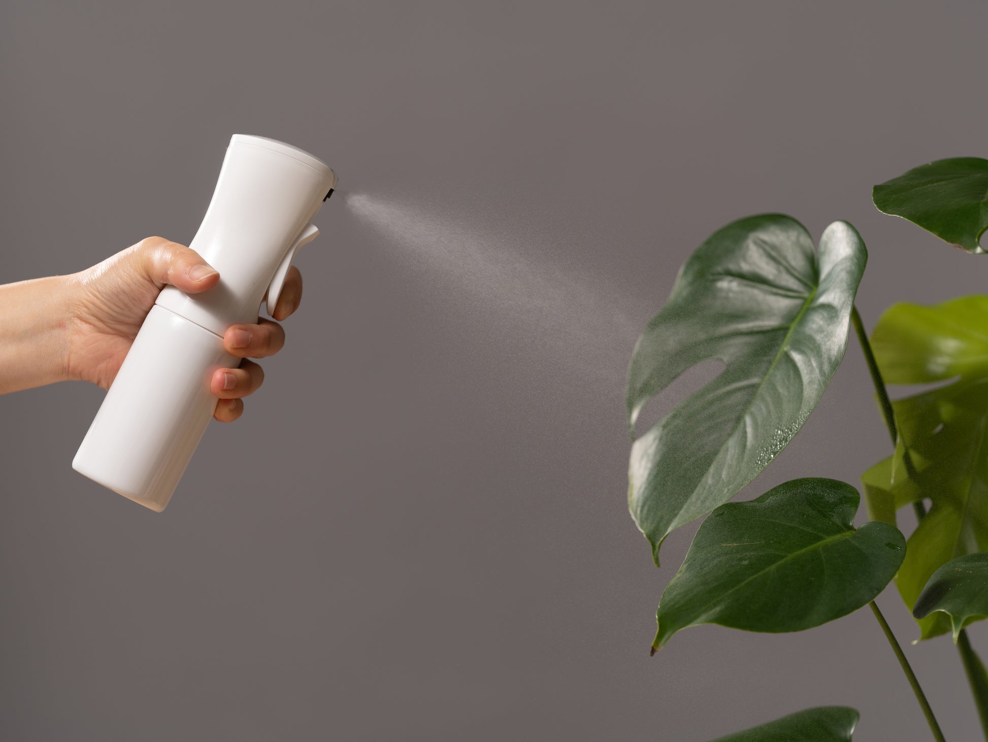 高圧マイクロスプレー