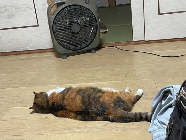 ズックリーンネット(2枚1セット）正規品のレビュー写真